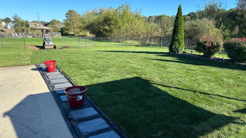 Newly Sodded Backyard With Mulched Flower Beds
