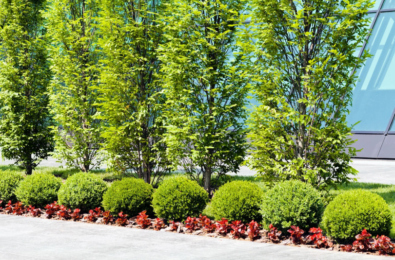 Why Landscaping Services Waterford Are in Demand