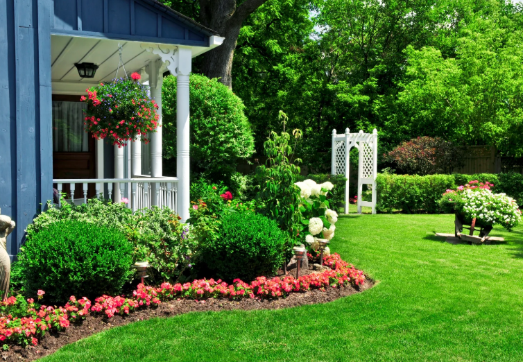 Keeping Your Yard Healthy