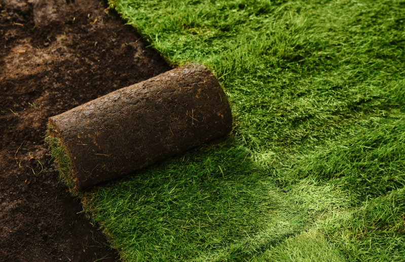 Landscaping Services