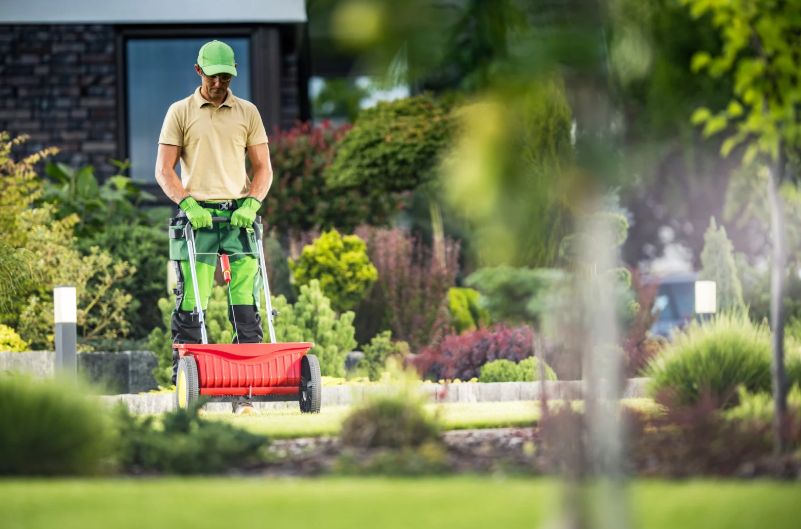 Mulching Magic: Transform Your Garden's Look