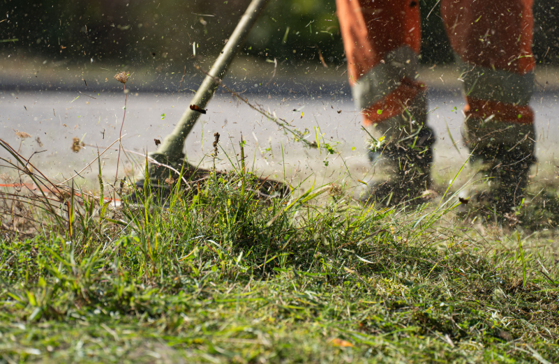 Landscaping Services